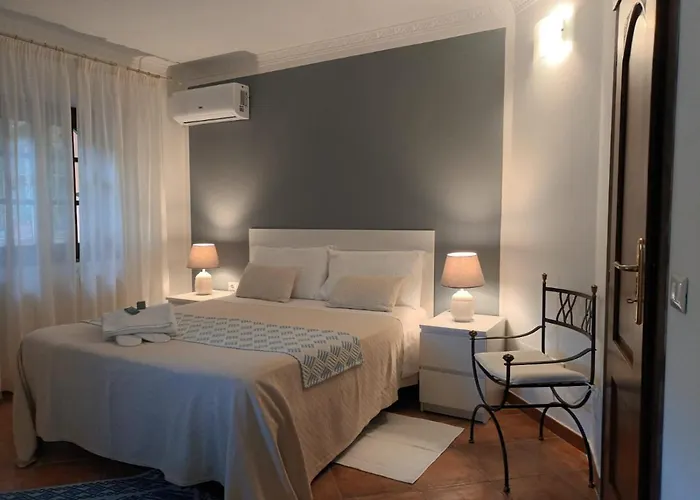 Domus Francy